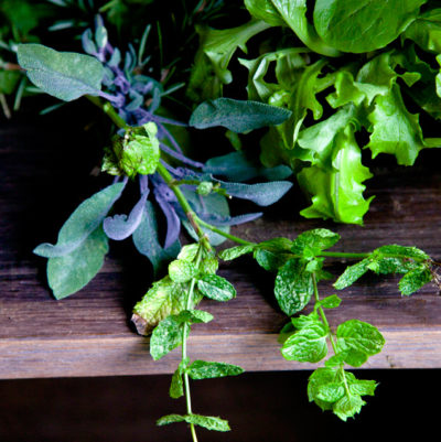 bunches of herbs