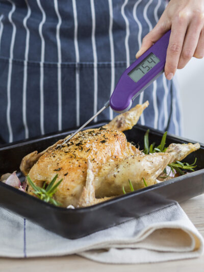 thermapen 3